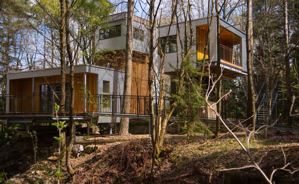 Baumhaus Lodge Schrems Schrems  Екстериор снимка